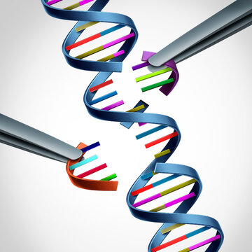 CRISPR gene editing therapy as using precise molecular tools to modify DNA and potentially treat genetic diseases by correcting or altering specific genes as new treatment therapies.