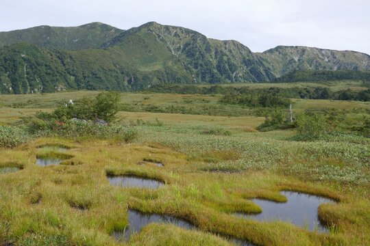 湿原と山々の美しい初秋の自然風景