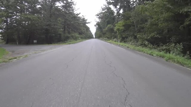 青森県の林の中の直線道路、メロンロード