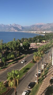 A coastal view featuring a clear blue sky, palm trees lining the road, and a beach with mountains in the background. Cars are parked along the street.