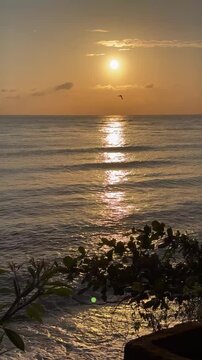 A serene sunset over the ocean, with gentle waves reflecting the golden light. Silhouetted leaves frame the scene, creating a tranquil atmosphere.