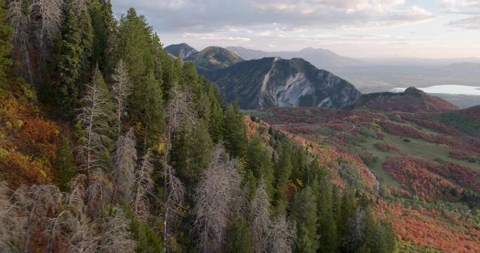 Cinematic Aerial Shot Flying Around Rocky Mountain With Beautiful Autumn Trees In Utah