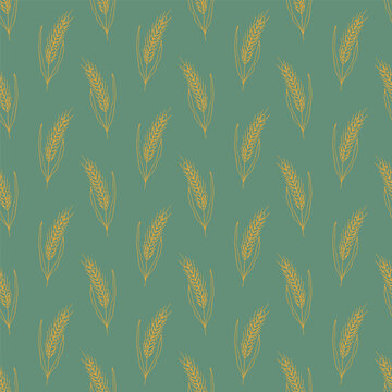 Seamless pattern with hand drawn cereal wheat oat rye barley rice ears spikelet Organic healthy food For decorative print, fabric, package, background