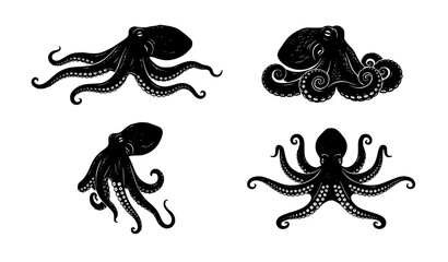 Detailed Octopus Woodcut Illustration Set - Sea Creature Top View, Swimming Pose, and Tentacles Spread Graphic © MdSobuj