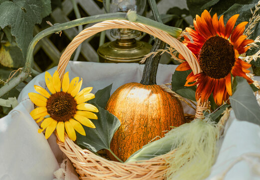 Autumn still life with an orange pumpkin and vibrant sunflowers in a wicker basket against a rustic garden background.