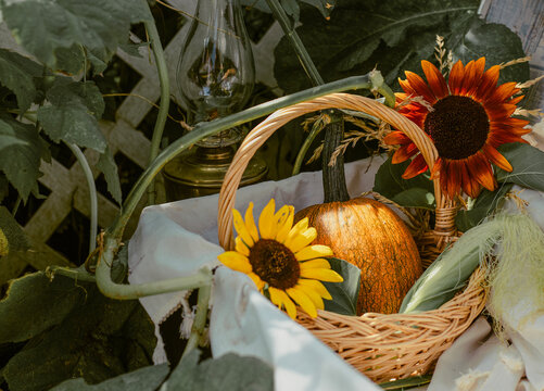 Autumn still life with an orange pumpkin and vibrant sunflowers in a wicker basket against a rustic garden background.