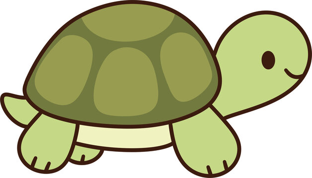 Cute Green Turtle Character