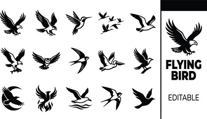 Fototapeta premium Set of black silhouette featuring various flying birds, including eagles, hawks, and other avian species on a white background
