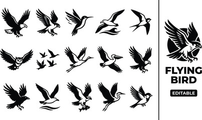 Obraz premium Set of black silhouette featuring various flying birds, including eagles, owls, and other avian species on a white background
