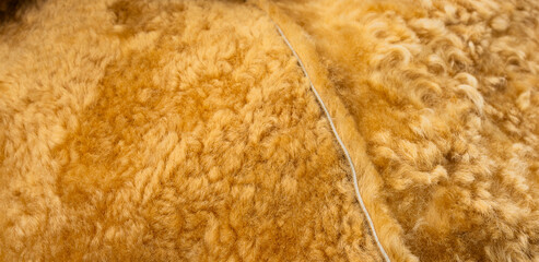 Abstract close up of warm golden wool fleece showing soft fibers with natural curls textile texture background.  Ideal for textile, fashion, interior design, premium material concepts. © IKT224
