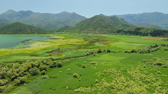 Lake Skadar wetlands near Virpazar, Montenegro