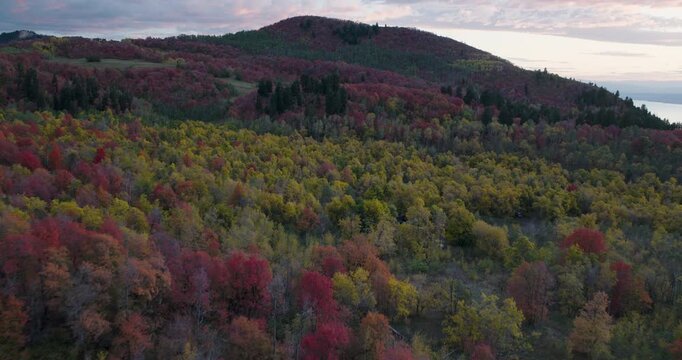 Red And Yellow Autumn Trees In Rocky Mountain Hills - Aerial Shot