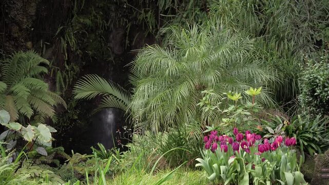 A serene botanical scene showcases a cascading water feature nestled among dense ferns and palm trees with a foreground of blooming spring tulips