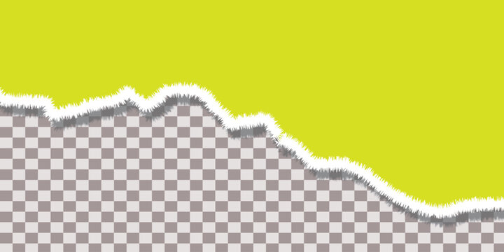 Torn Paper Edge with Lime Green Texture Isolated on Transparent Background for Graphic Design Projects
