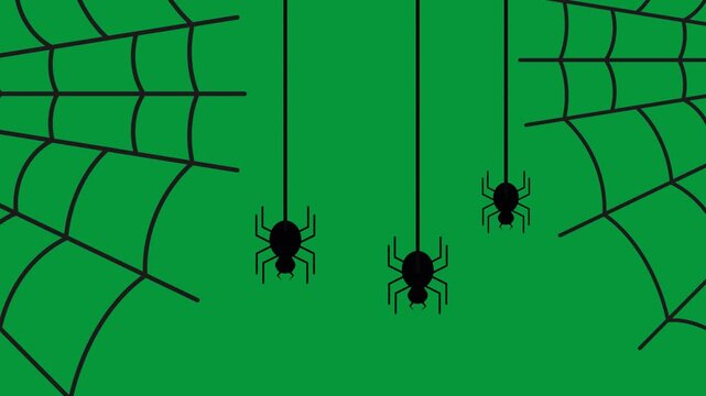 Animation of three black spiders dangling on silk threads against green backgrounds.