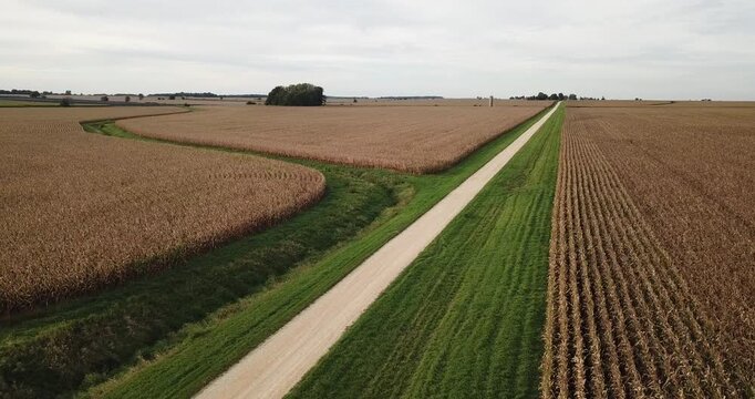 Aerial drone view of a long straight gravel road surrounded by corn fields and going straight to the horizon as the drone flies away backwards.