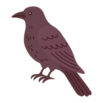 Dark Raven Bird Halloween Hand Drawn Flat Illustration