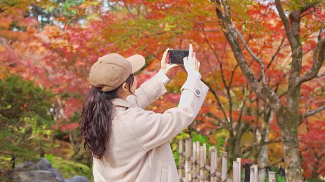 Young female traveler taking photos of vibrant autumn maple trees in a traditional Japanese garden