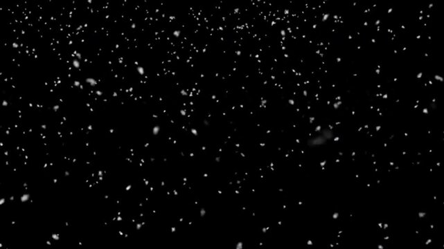 Cozy winter snow loop bringing a soft holiday season ambience