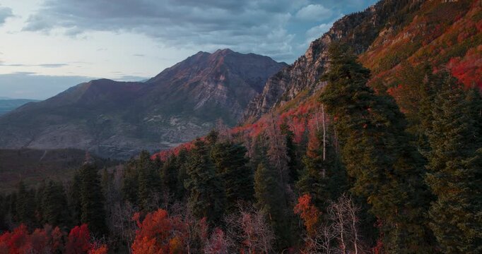 Drone Shot Moving Backwards Through Autumn Forest In Beautiful Rocky Mountain Canyon At Dusk