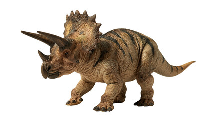 Brown textured Triceratops dinosaur figurine with three horns and large frill © Rufus