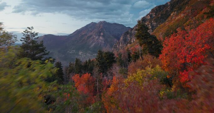 Aerial Shot Rising Over Autumn Trees In Rocky Mountain Canyon In Utah