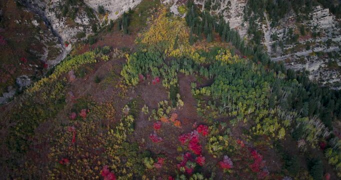 Red, Yellow And Green Colors on Hill In Rocky Mountains - Aerial Shot