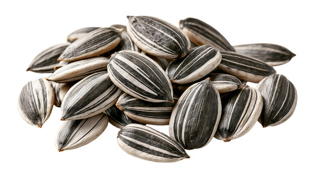 Heap of raw striped sunflower seeds with black and white shells