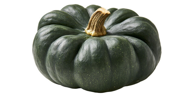 Dark green kabocha squash with a textured rind and a woody stem