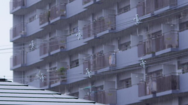 背の高いマンションを背景に住宅街に降る雨を捉えたスローモーション映像。ピント位置のバリエーション