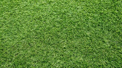 Obraz premium Overhead view of closely mown green grass surface filling the frame