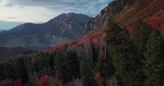 Majestic Aerial Shot Soaring Backwards Over Autumn Trees In Rocky Mountain Canyon