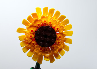 Naklejka premium Bologna - Italy - September 29, 2026: Lego sunflowers built from plastic construction bricks isolated on white
