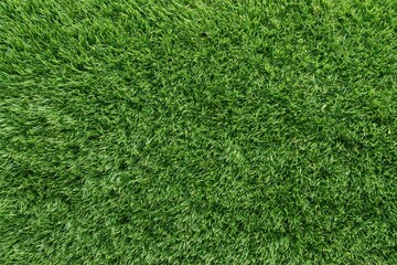 Fototapeta premium The Grass Closeup Lush Emerald Blades Forming a Dense Natural Carpet
