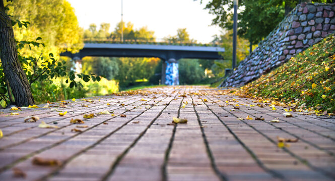 Low angle view of a brick walkway covered in fallen autumn leaves near a river bridge