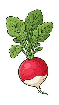 Single Fresh Red Radish Vegetable with Healthy Green Leaves Vector Style Illustration on White Background