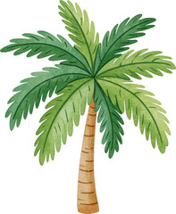 Obraz premium Watercolor tropical palm tree illustration isolated on transparent background.