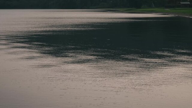 A Quiet Cove with a Lakeside Park Lawn in the Background
