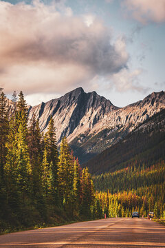 Rugged mountain slope above evergreen and golden autumn forest under a cloudy sky, Canadian Rockies, Alberta, Canada