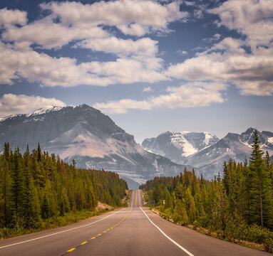 Highway winding through evergreen forest toward snow-capped mountains under a cloudy sky, Canadian Rockies, Alberta, Canada