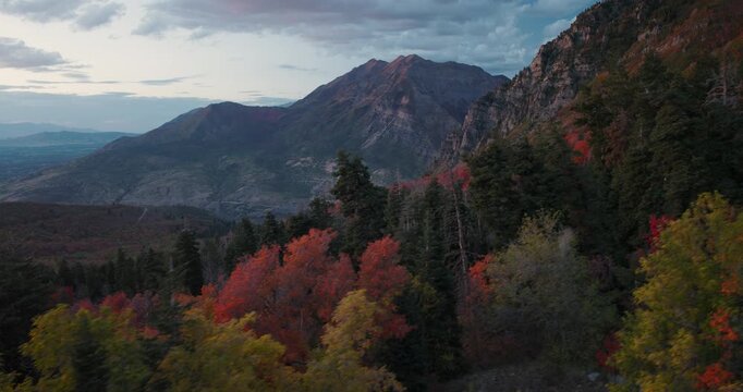 Epic Rising Drone Shot Over Autumn Trees In Rocky Mountain Canyon At Dusk