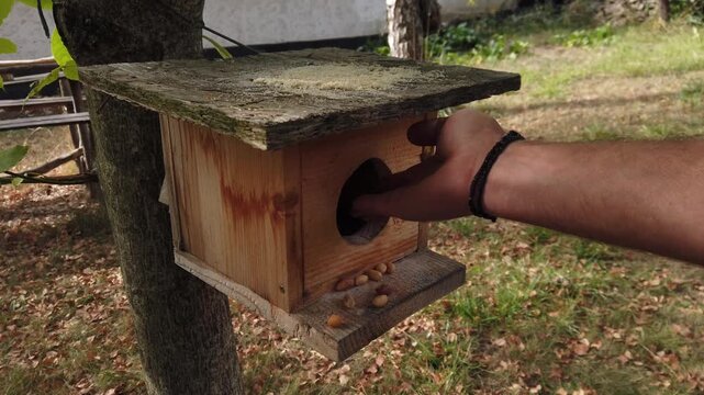 Man feeding birds wooden birdhouse in backyard garden