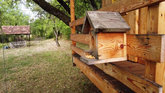 Still video of wooden birdhouse on cottage terrace in backyard