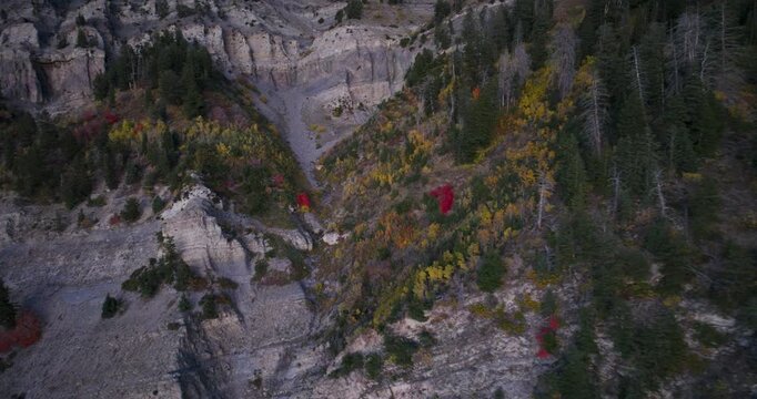 Yellow Trees And Specs Of Red On Epic Rocky Mountain At Dusk - Drone Shot