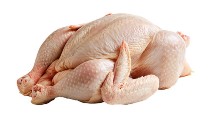 Raw whole chicken carcass with skin and wings © Peregrine