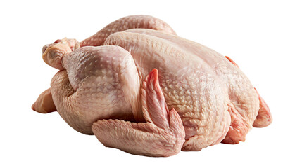 Raw whole chicken carcass with pink skin and textured surface © Peregrine