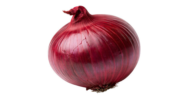 Whole fresh red onion with papery skin and fibrous root