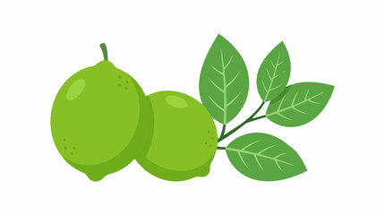 Fototapeta premium Flat vector illustration of fresh cute organic green limes with green leaves isolated on white background for food and drink design