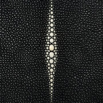 Flat Lay Obsidian Black Stingray Leather Texture Edge to Edge White Crown Shagreen