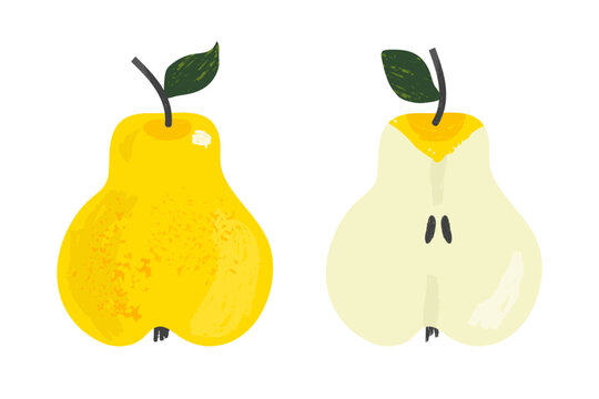 Yellow pear set with whole fruit and half slice isolated on white background in hand drawn vector style